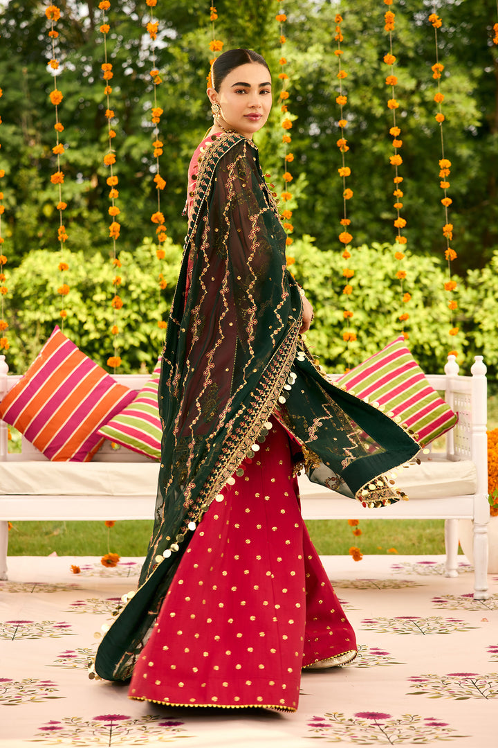 AF-ZN-2216-Ghoomar