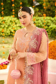 AF-ZN-2218-Sitara