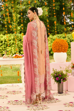 AF-ZN-2218-Sitara