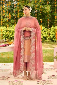 AF-ZN-2218-Sitara