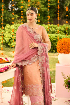 AF-ZN-2218-Sitara