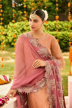 AF-ZN-2218-Sitara