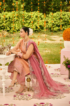 AF-ZN-2218-Sitara