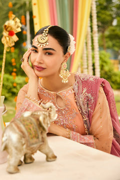AF-ZN-2218-Sitara
