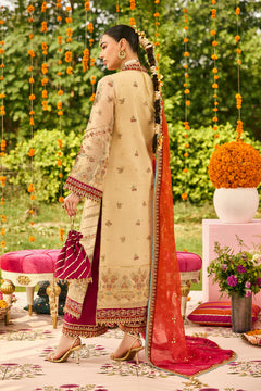 AF-ZN-2219-Dilruba