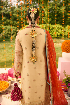 AF-ZN-2219-Dilruba
