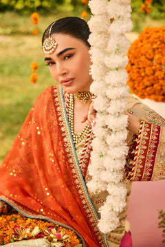 AF-ZN-2219-Dilruba