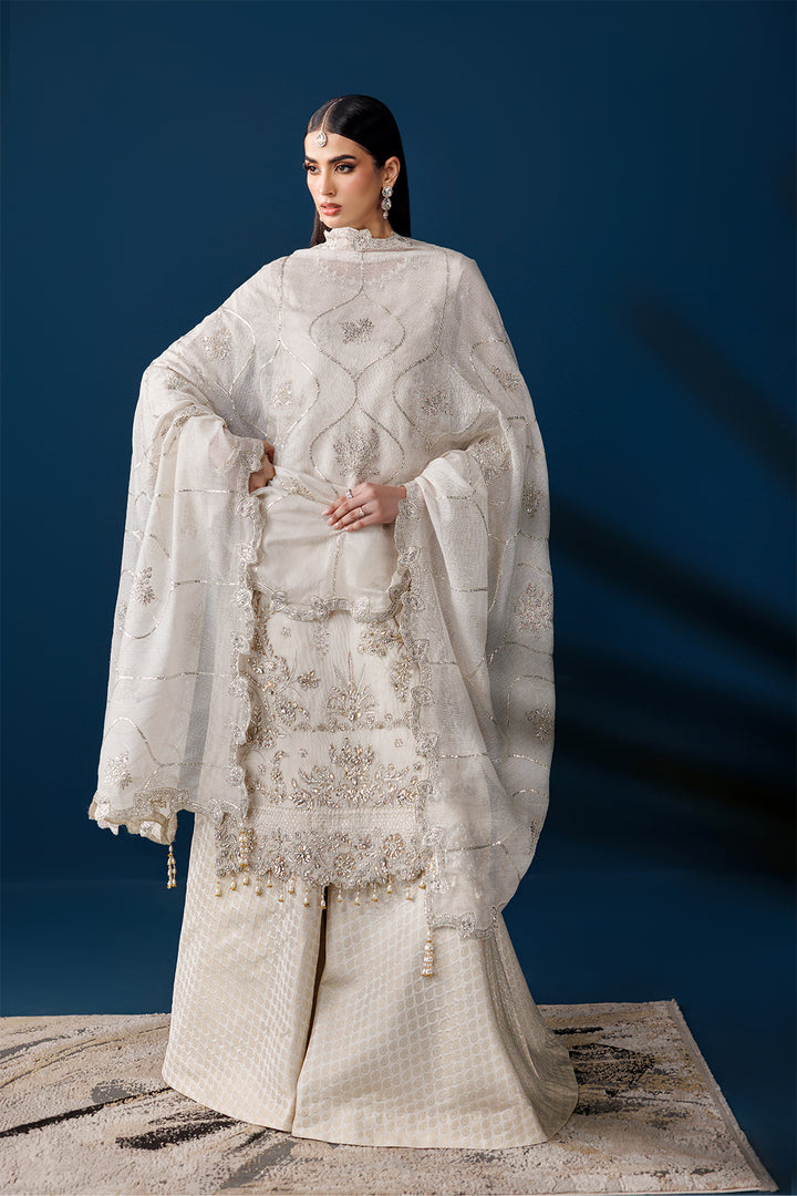 AF-NHM-2279-Swan