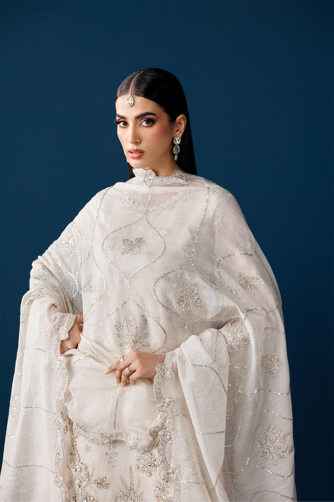 AF-NHM-2279-Swan