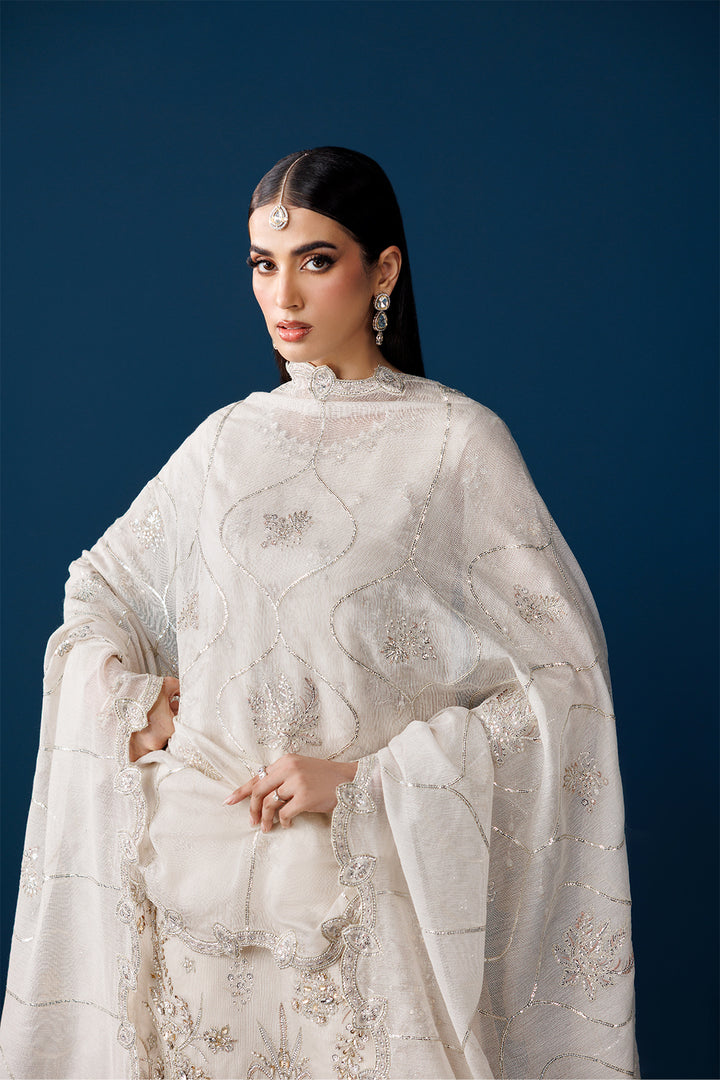 AF-NHM-2279-Swan