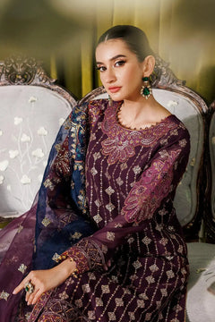 RTW-2173 Embroidered Chiffon
