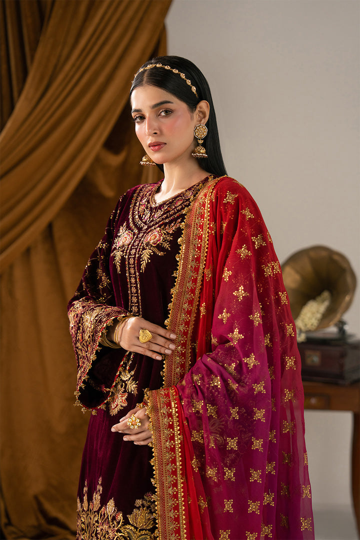 AF-VLT-2280-Chashni