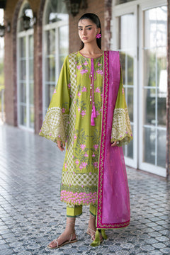 AF-EL-7073-Summer