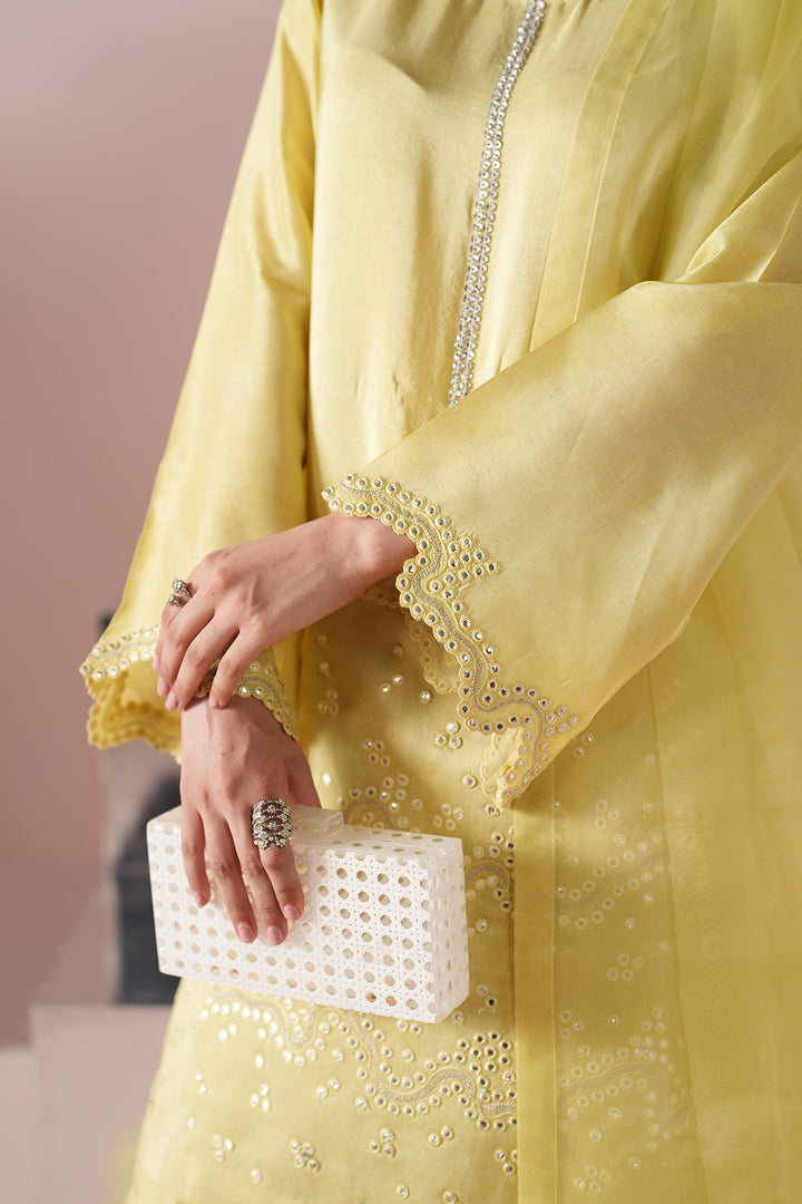 Yellow Dress 3 piece - RTW1031