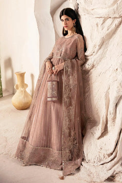AF-CH-2168-Samara Embroidered Chiffon