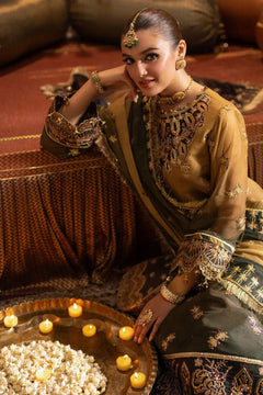 AF-JHLK-06-ZABREEN Embroidered Chiffon