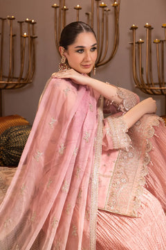 AF-JHLK-03-ZAFIRA Embroidered Chiffon